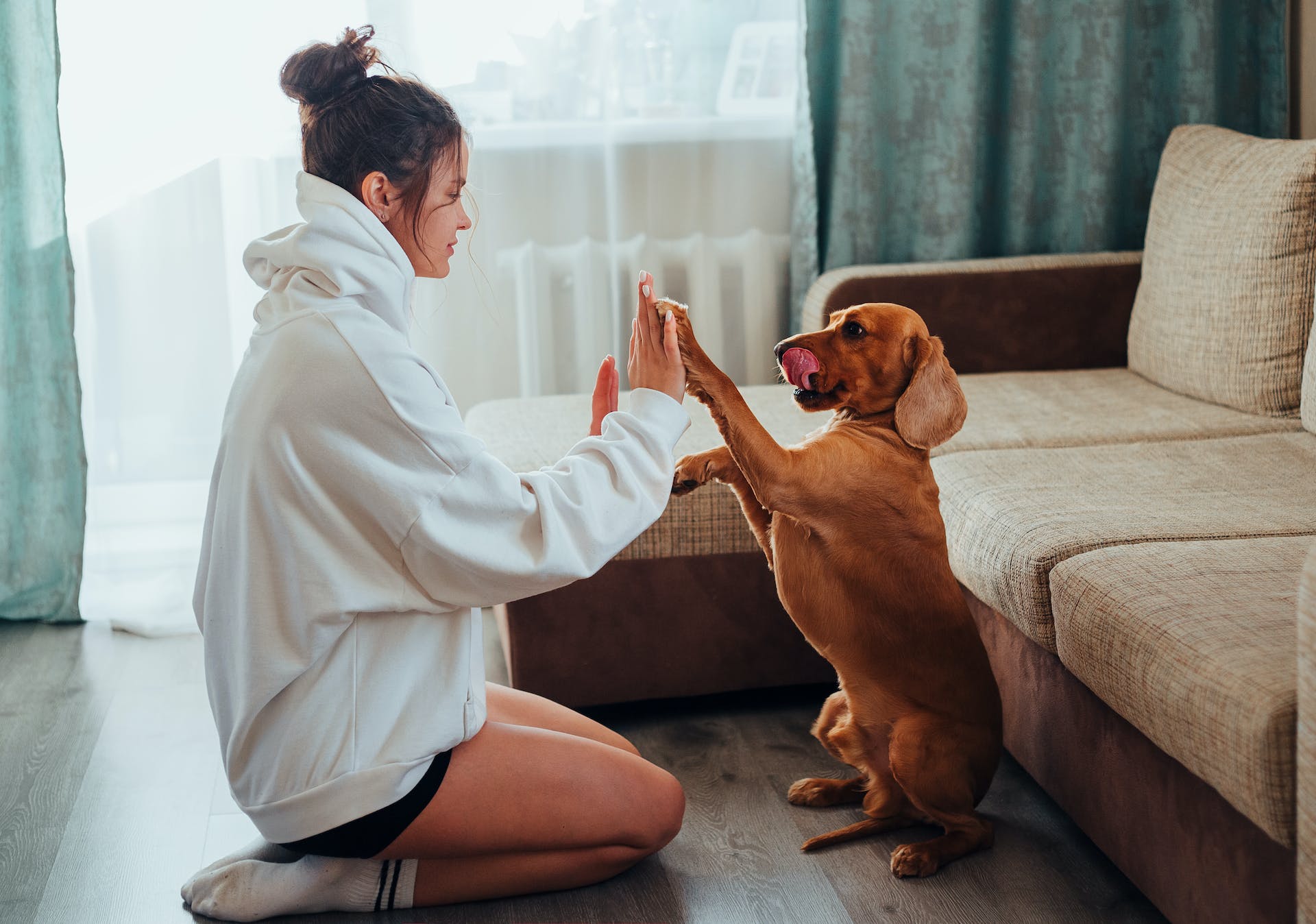 Keeping Your Dog Fit, Active, and Stress-Free