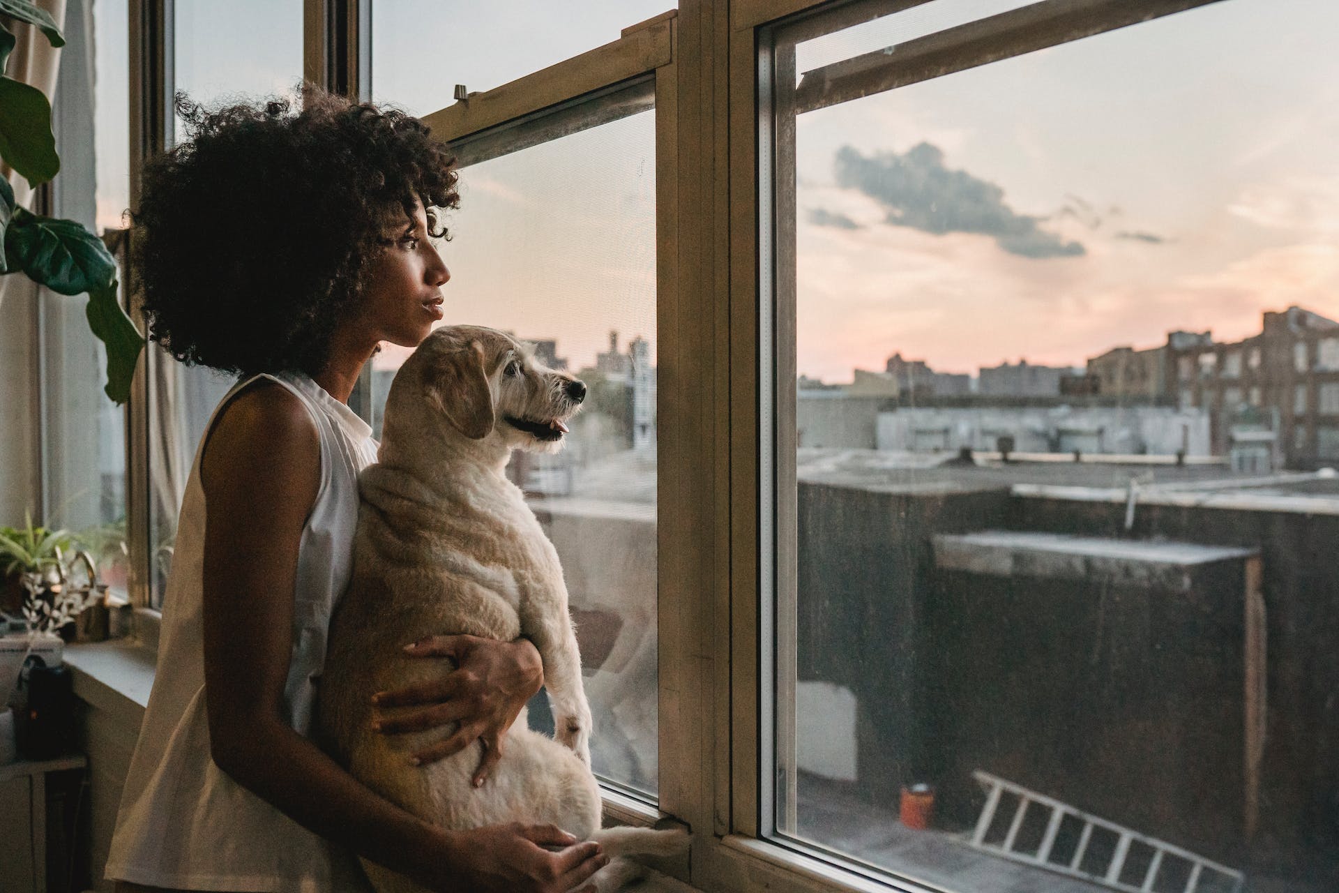 Nurturing Your Canine Companion: The Fundamentals of Dog Care and Ownership