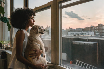 Nurturing Your Canine Companion: The Fundamentals of Dog Care and Ownership