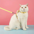 Cartoon Bee Collar Set for Cat - RavePets