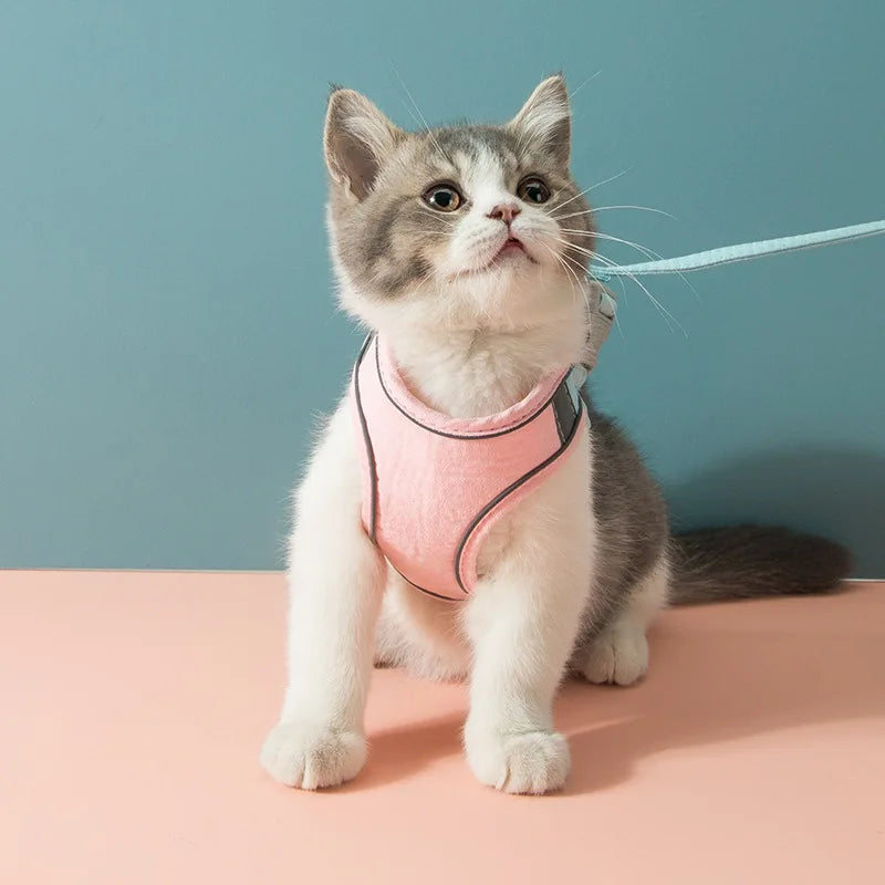 Cat Harness Leash Set - RavePets