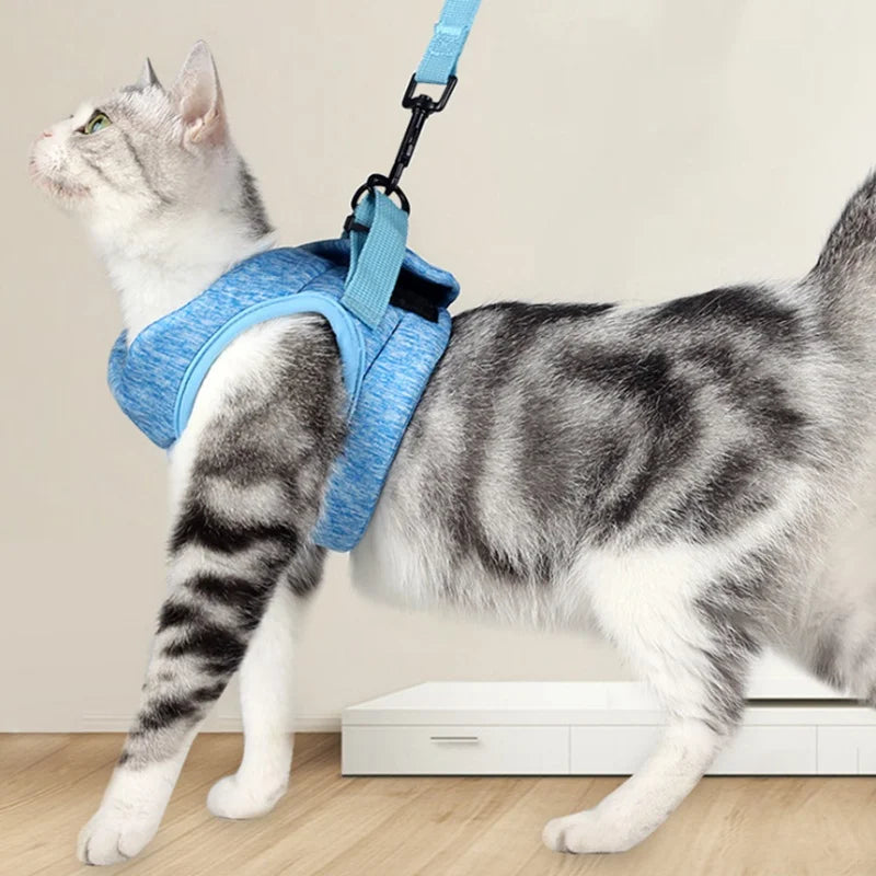 Adjustable Vest for Cat - RavePets