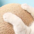 Wooden Cat Scratcher Toy - RavePets