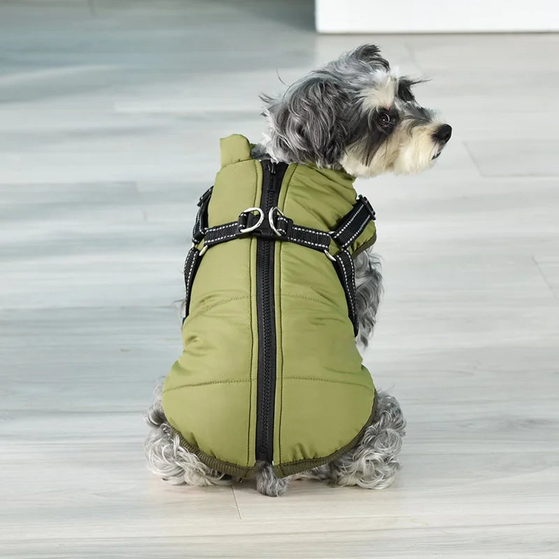Large Pet Jacket - RavePets