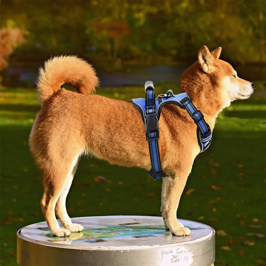 Breathable Reflective Dog Vest - RavePets