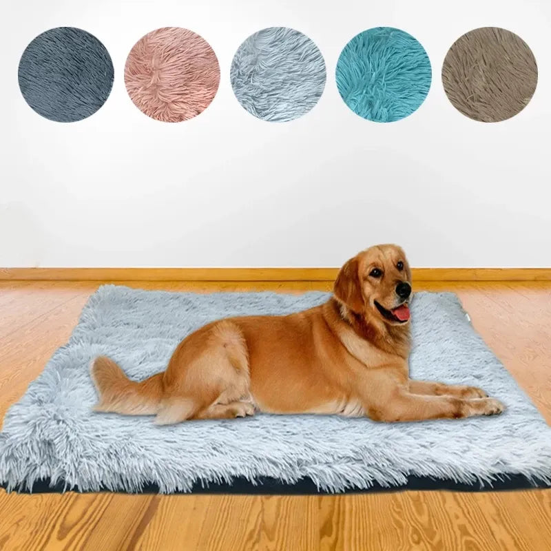 Winter Dog Cushion - RavePets