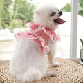 Floral Print Dog Harness - RavePets