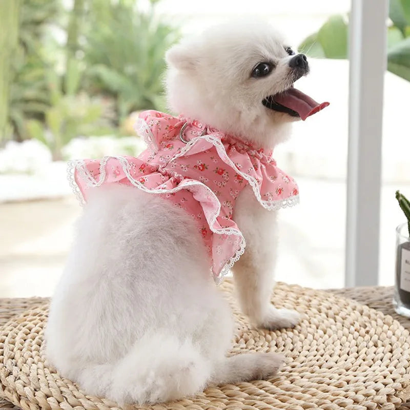 Floral Print Dog Harness - RavePets