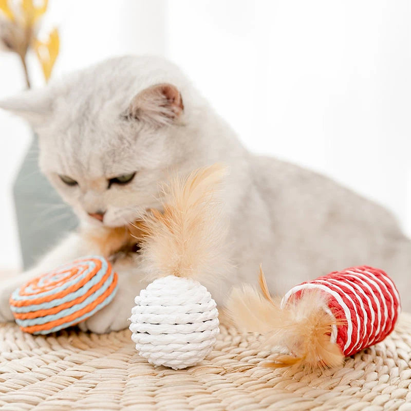 Feather Cat Toy Set - RavePets