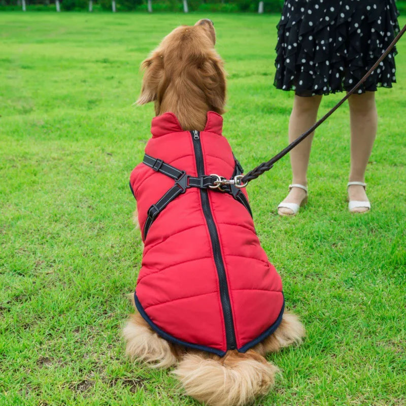 Large Pet Jacket - RavePets