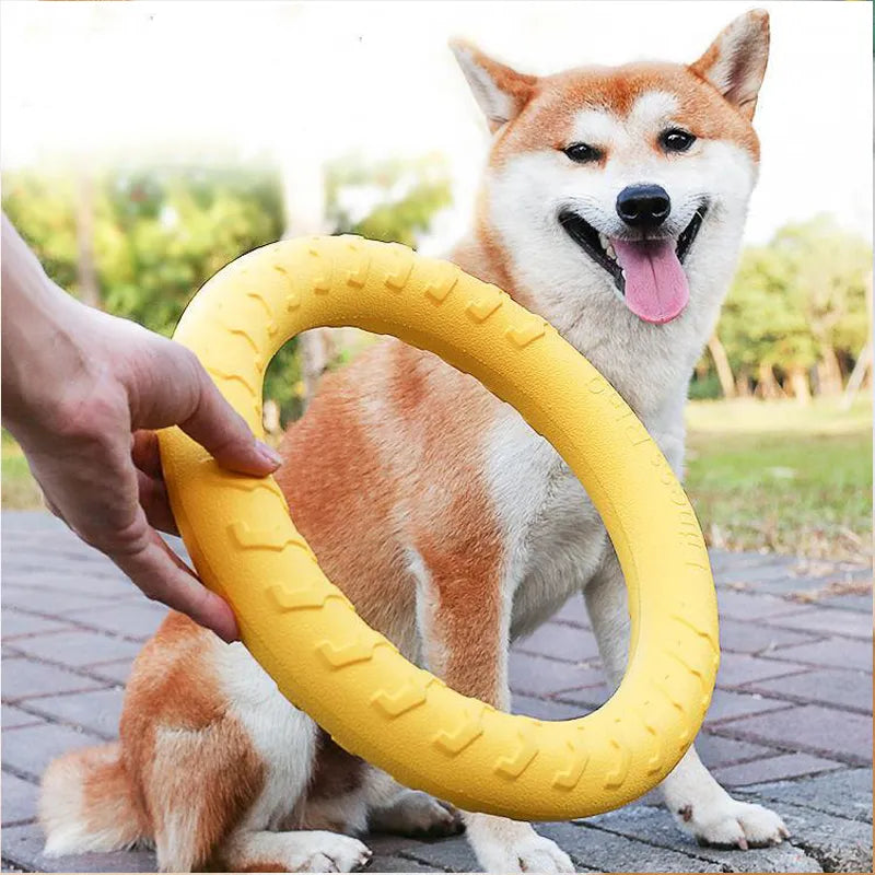 Pet Flying Discs - RavePets