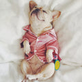 Pet Soft Silk Pajamas - RavePets