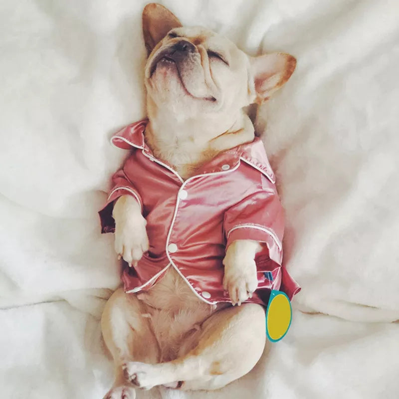 Pet Soft Silk Pajamas - RavePets