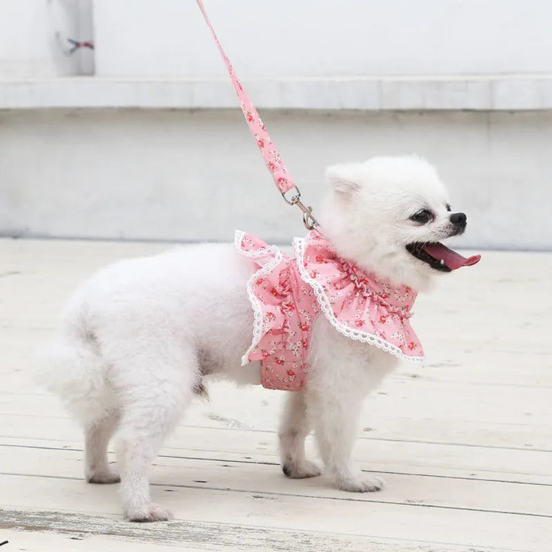 Floral Print Dog Harness - RavePets