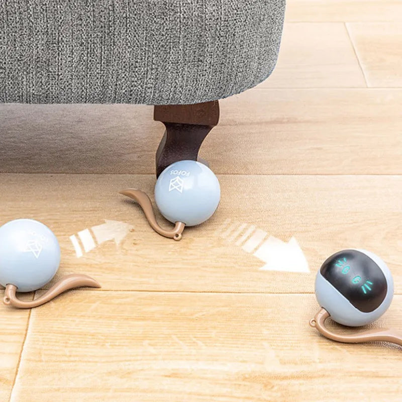 Self Rotating Ball - RavePets