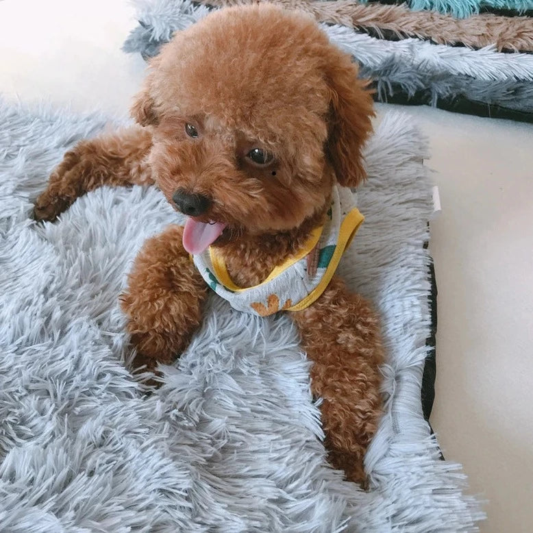 Winter Dog Cushion - RavePets
