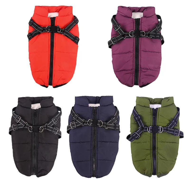 Large Pet Jacket - RavePets
