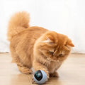 Self Rotating Ball - RavePets