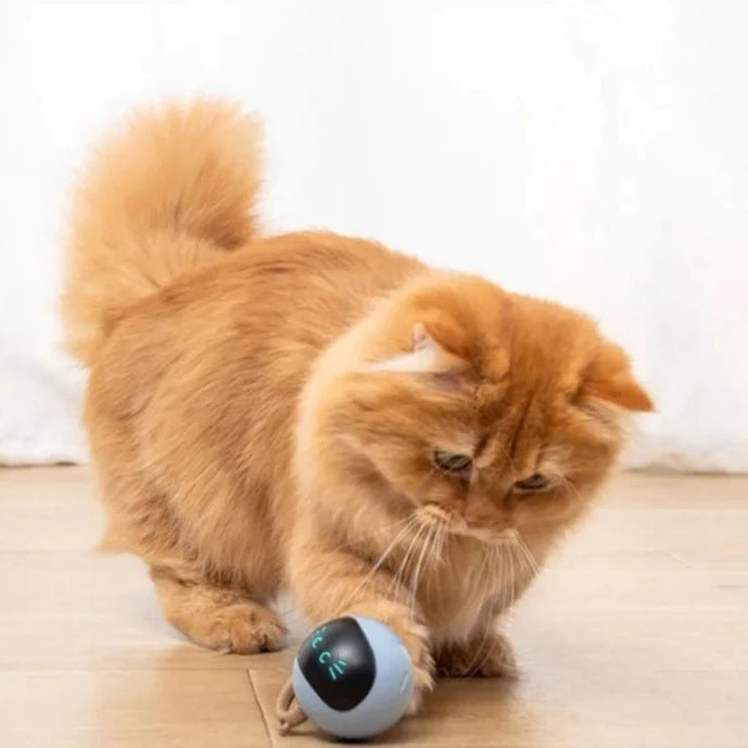 Self Rotating Ball - RavePets