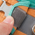 Cat Harness Leash Set - RavePets