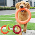 Pet Flying Discs - RavePets