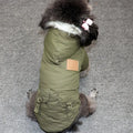 Warm Hoodie Jacket - RavePets