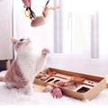 Feather Cat Toy Set - RavePets