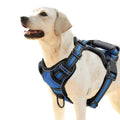 Breathable Reflective Dog Vest - RavePets