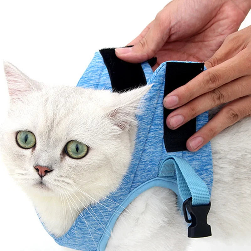 Adjustable Vest for Cat - RavePets