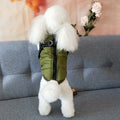 Large Pet Jacket - RavePets