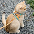 Cat Harness Leash Set - RavePets