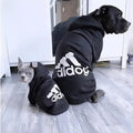 Warm Dog Sweatshirt - RavePets