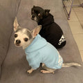 Warm Dog Sweatshirt - RavePets