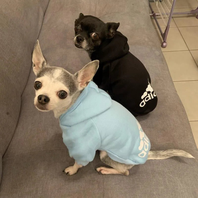 Warm Dog Sweatshirt - RavePets