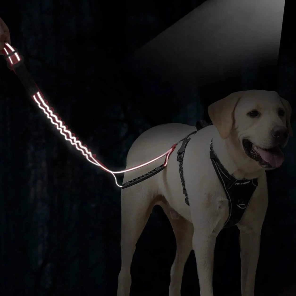 Double Handle Reflective Leash - RavePets