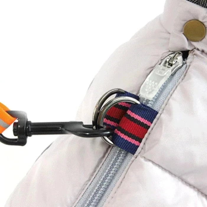 Thicken Dog Cotton Coat - RavePets