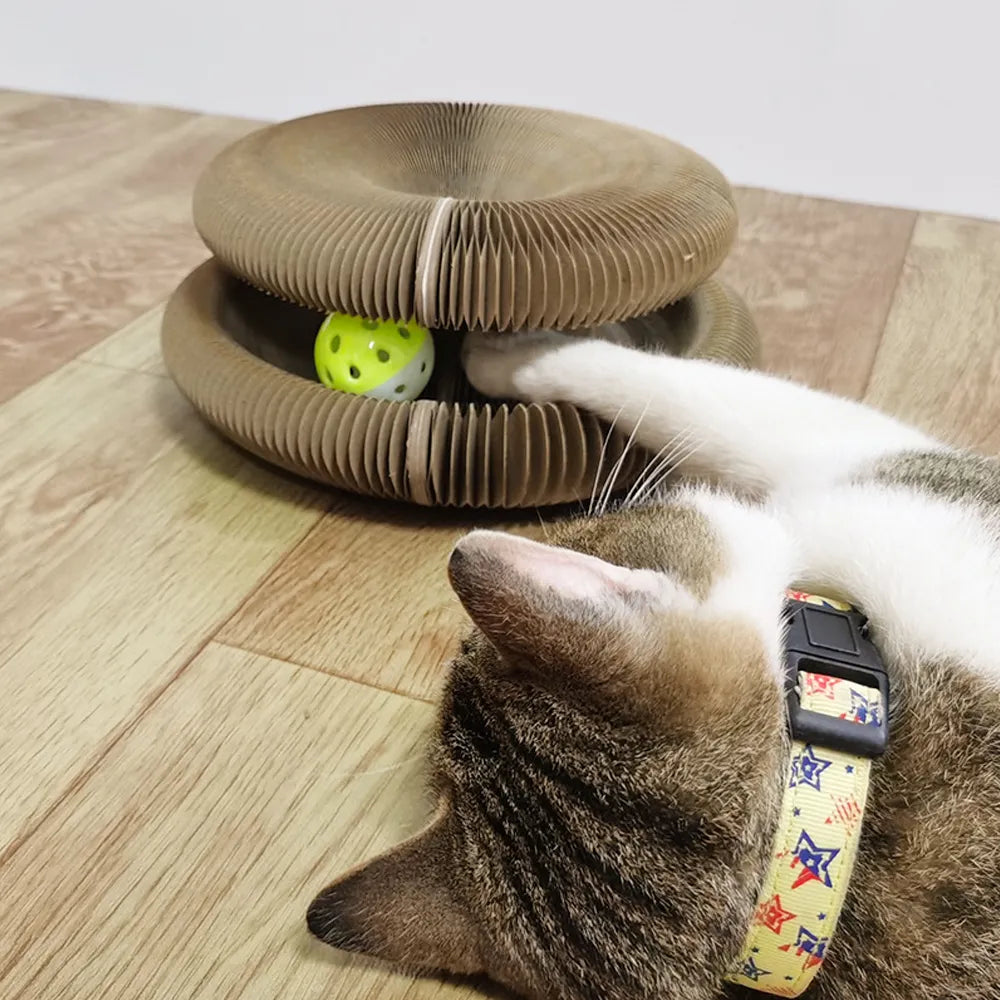 Foldable Cat Scratch Board - RavePets