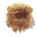 Lion Costume for Cat - RavePets