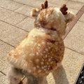 Cute Pet Cloak Cape - RavePets