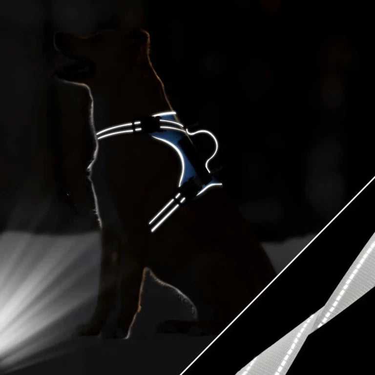 Reflective Dog Harness Vest - RavePets