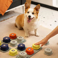 Dog Communication Button - RavePets