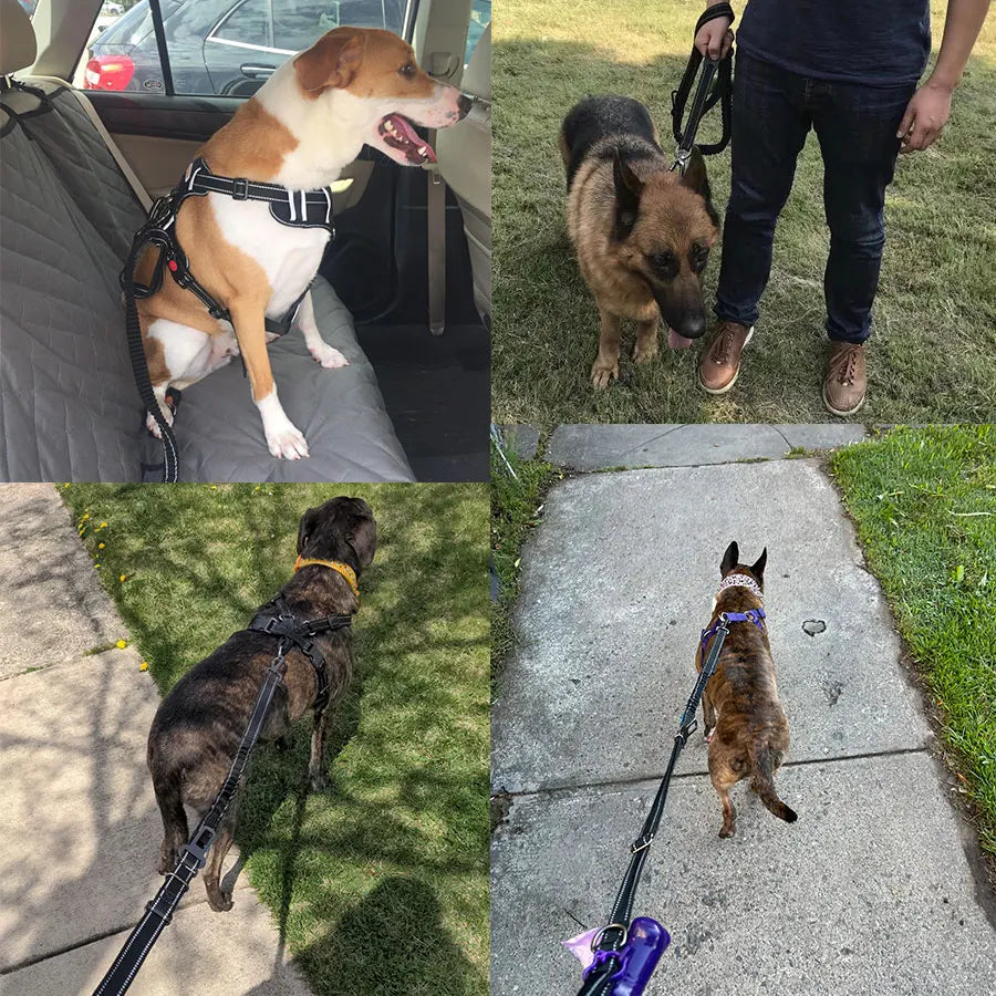 Double Handle Reflective Leash - RavePets