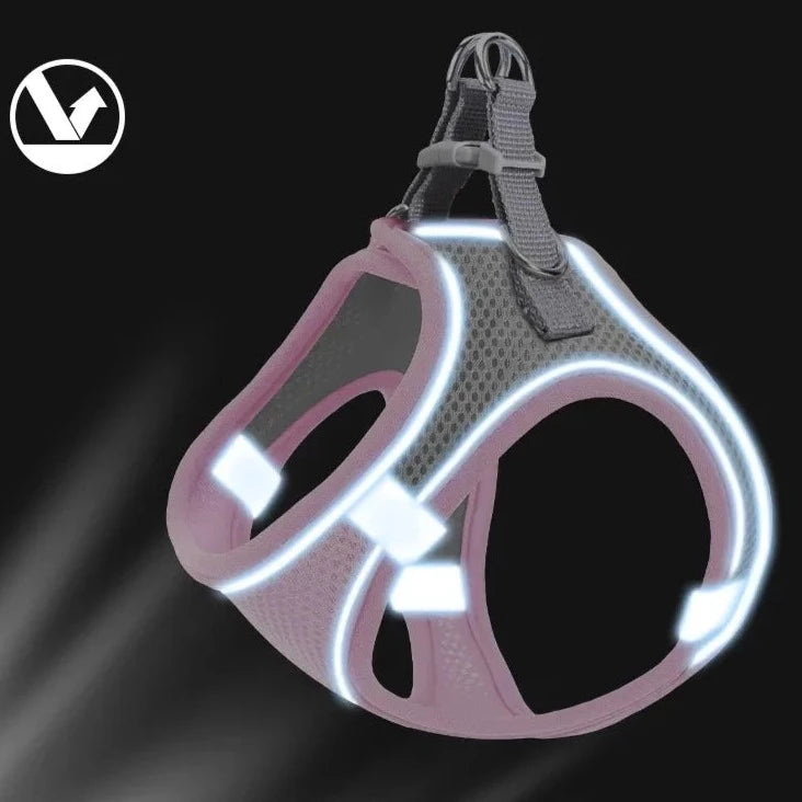 Reflective Cat Harness And Leash - RavePets