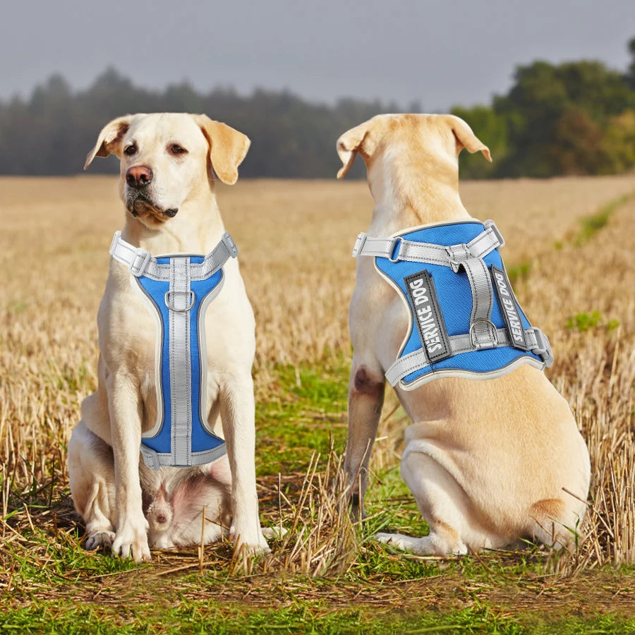 Reflective Dog Harness Vest - RavePets