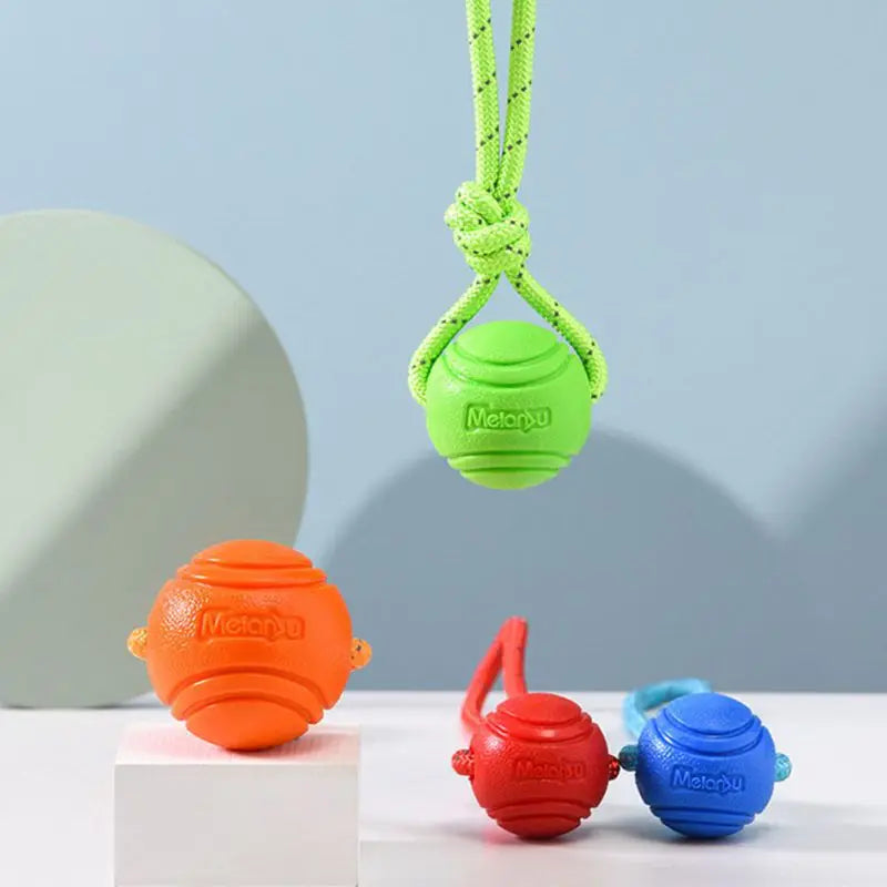 Dog Chew Ball on Rope - RavePets