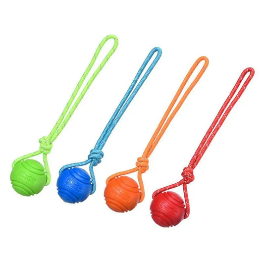 Dog Chew Ball on Rope - RavePets