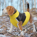 Winter Dog Jacket - RavePets