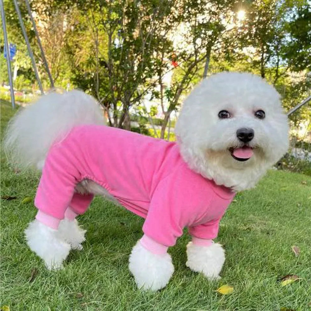 Long Sleeves Pajamas for Dog - RavePets