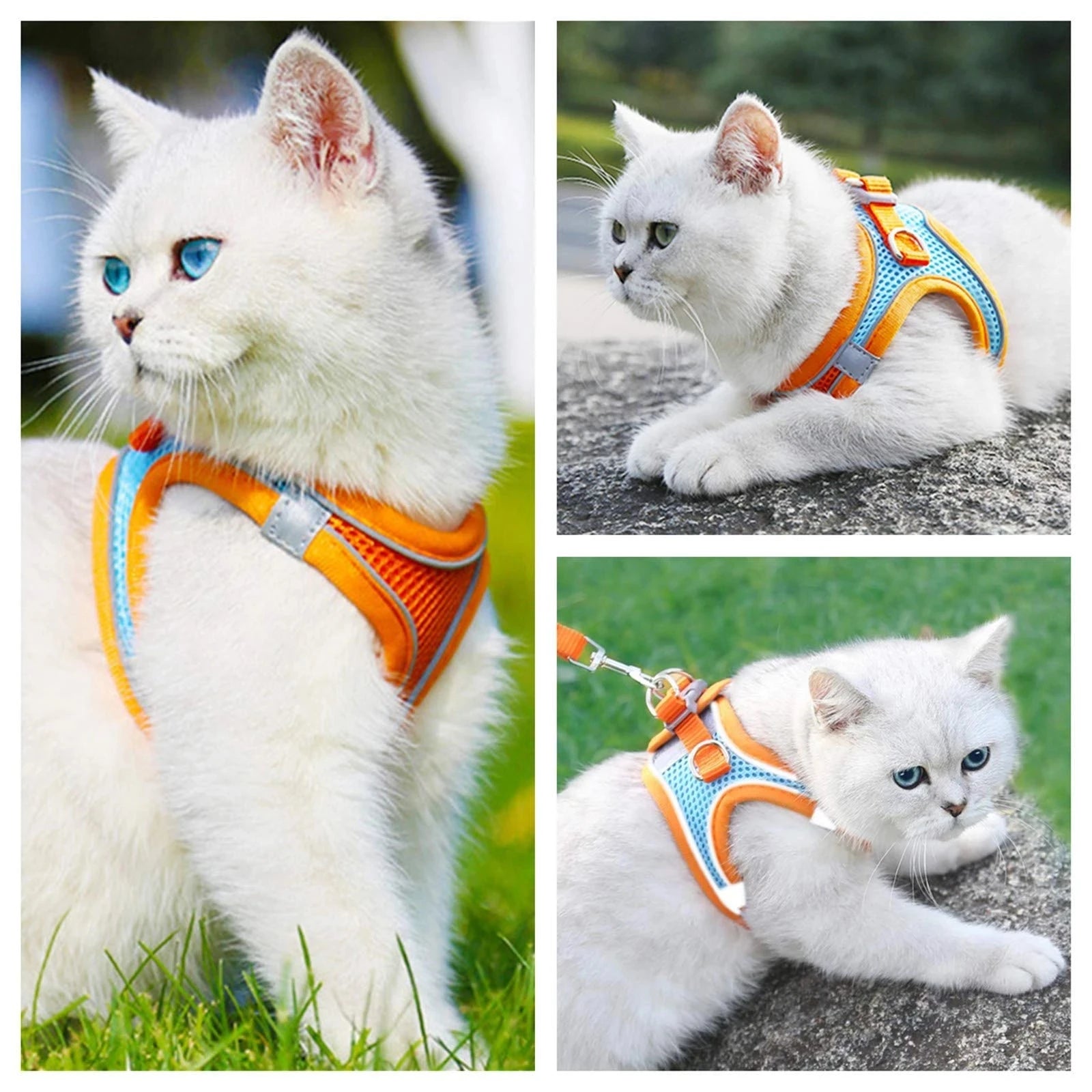 Reflective Cat Harness And Leash - RavePets