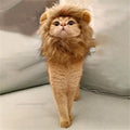 Lion Costume for Cat - RavePets